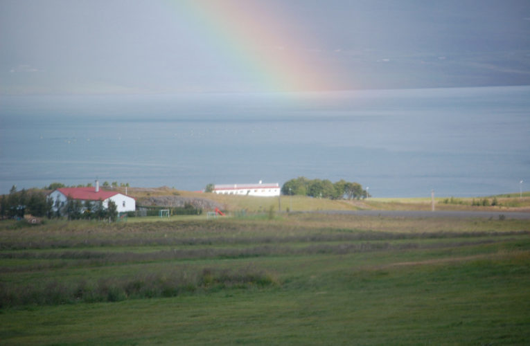 San Angelo: Is he really my true Valentine? Love and PTSD.