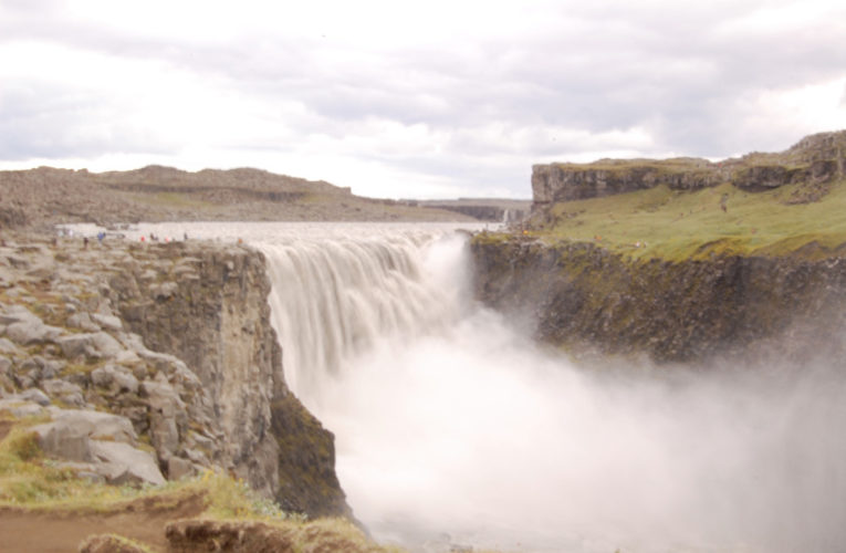 San Angelo: Help! I’m a lost little amoeba in this big PTSD ecosystem